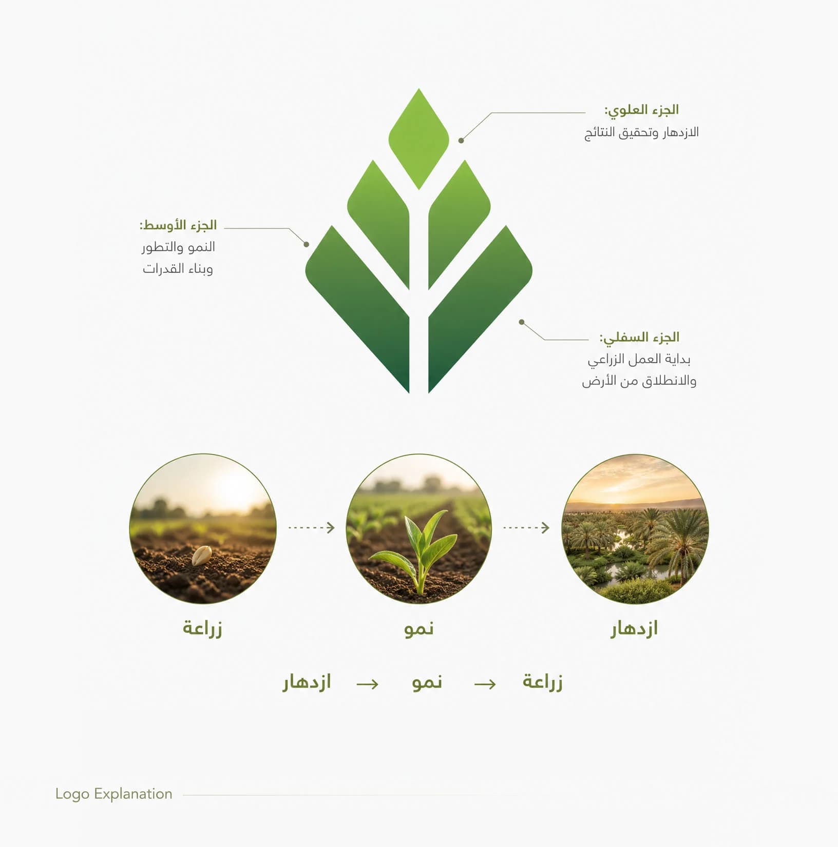 شرح فكرة شعار جمعية التنمية الزراعية - زراعة نمو ازدهار