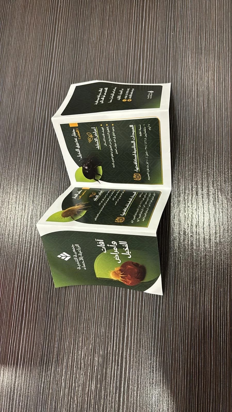 مطوية توعوية لمزارعي النخيل - آفات وأمراض